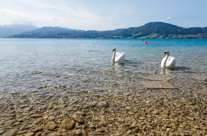 İztuzu Beach, Dalyan — Where the River Meets the Sea